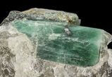 Beryl (Var: Emerald) Crystals in Biotite & Quartz - Bahia, Brazil #44125-1